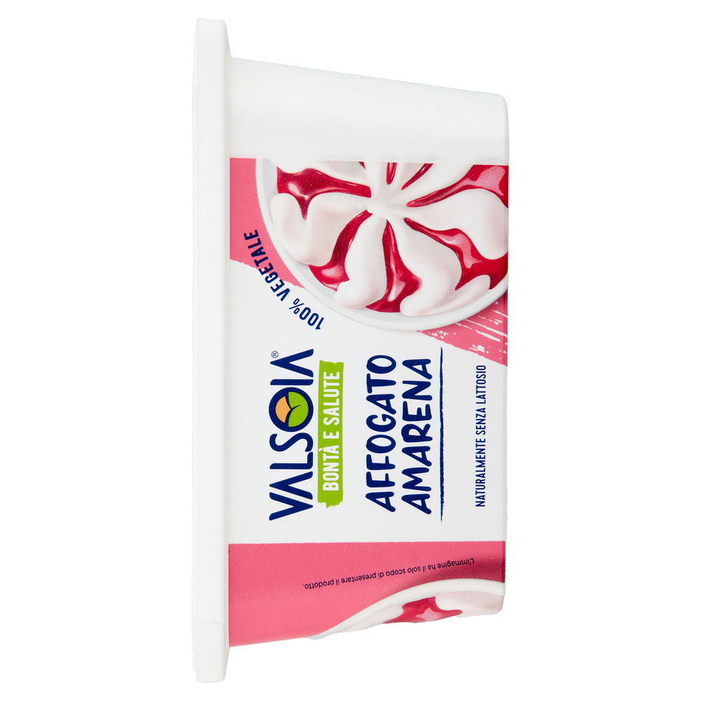 GELATO BIANCO VARIEGATO AMARENA VALSOIA VASCHETTA G 500 - 5