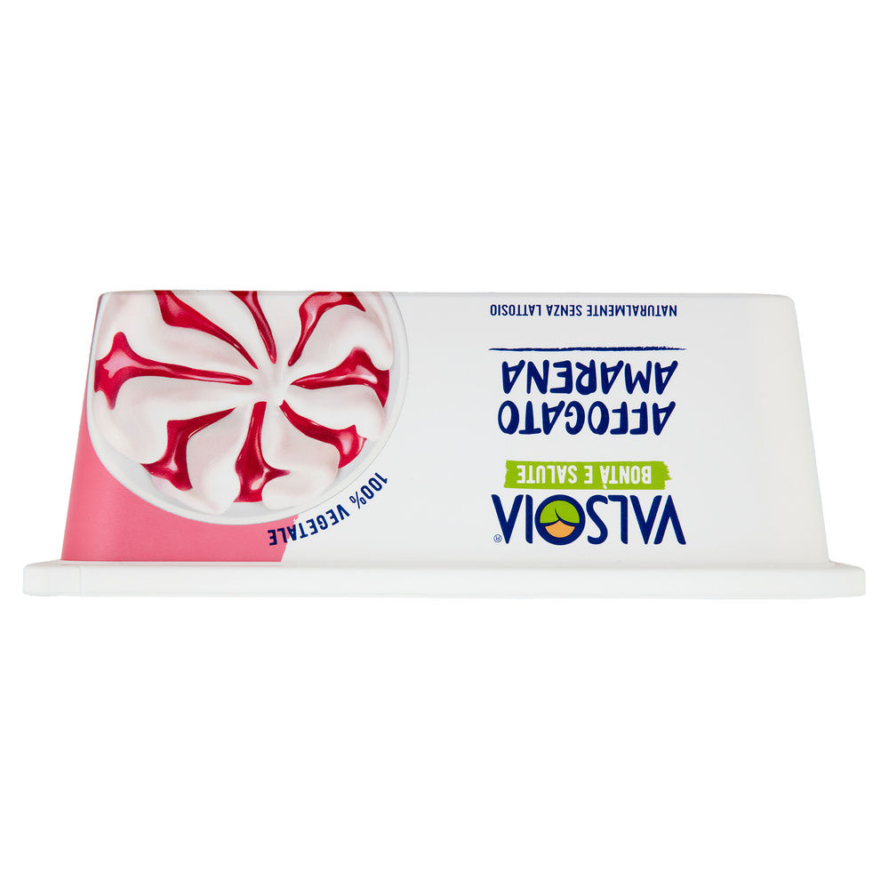 GELATO BIANCO VARIEGATO AMARENA VALSOIA VASCHETTA G 500 - 6
