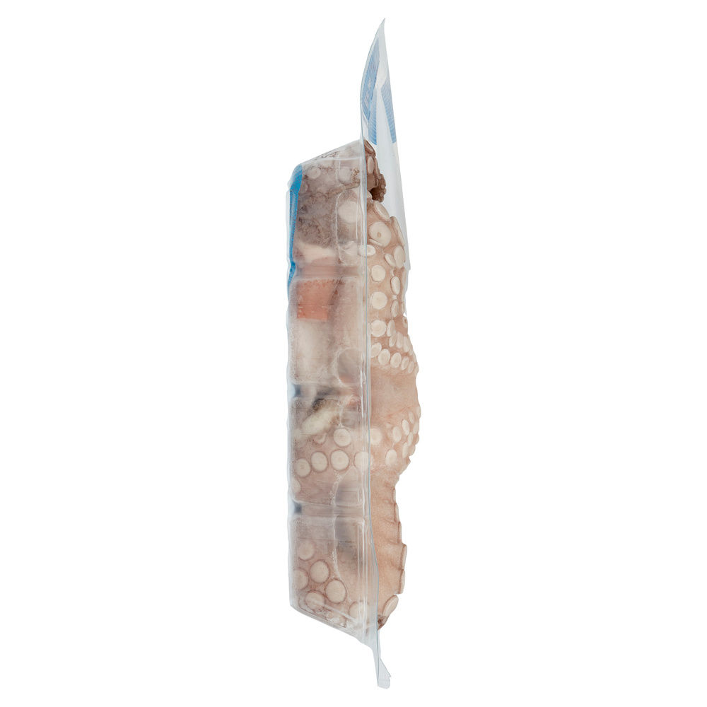 POLPO INTERO SURGELATO COOP SOTTOVUOTO G 500 - 9