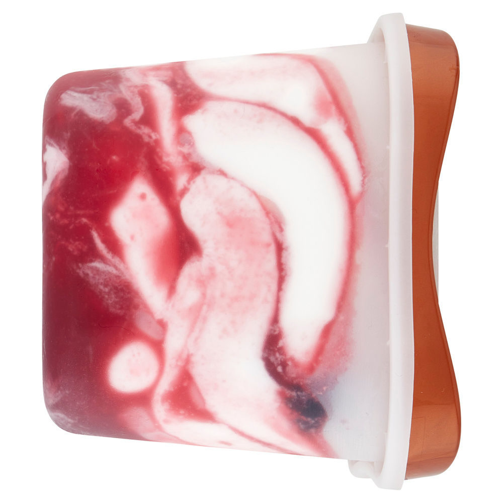 GELATO SPAGNOLA SIVIERO MARIA VASCHETTA 500G - 5