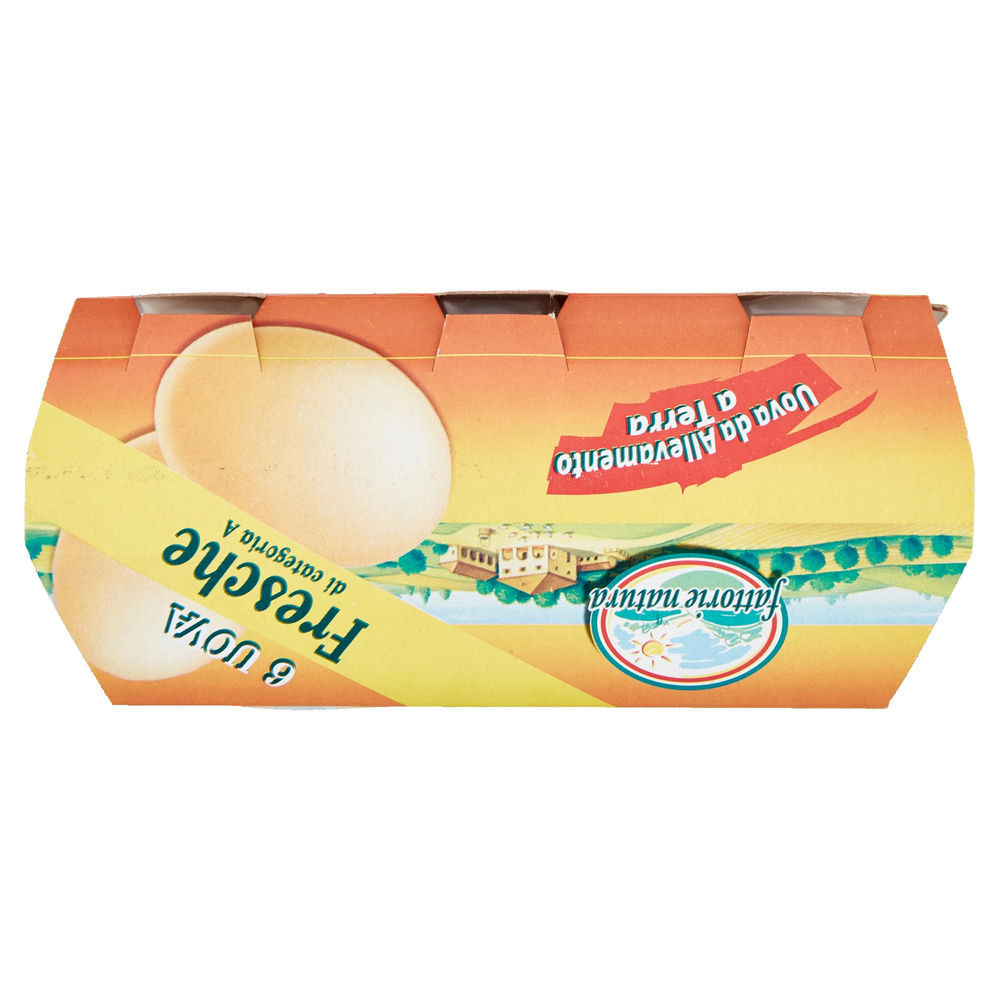 UOVA FRESCHE ALLEV A TERRA CAT. A CALIBRO VARIO FATTORIE NATURA G 330 X6 - 6