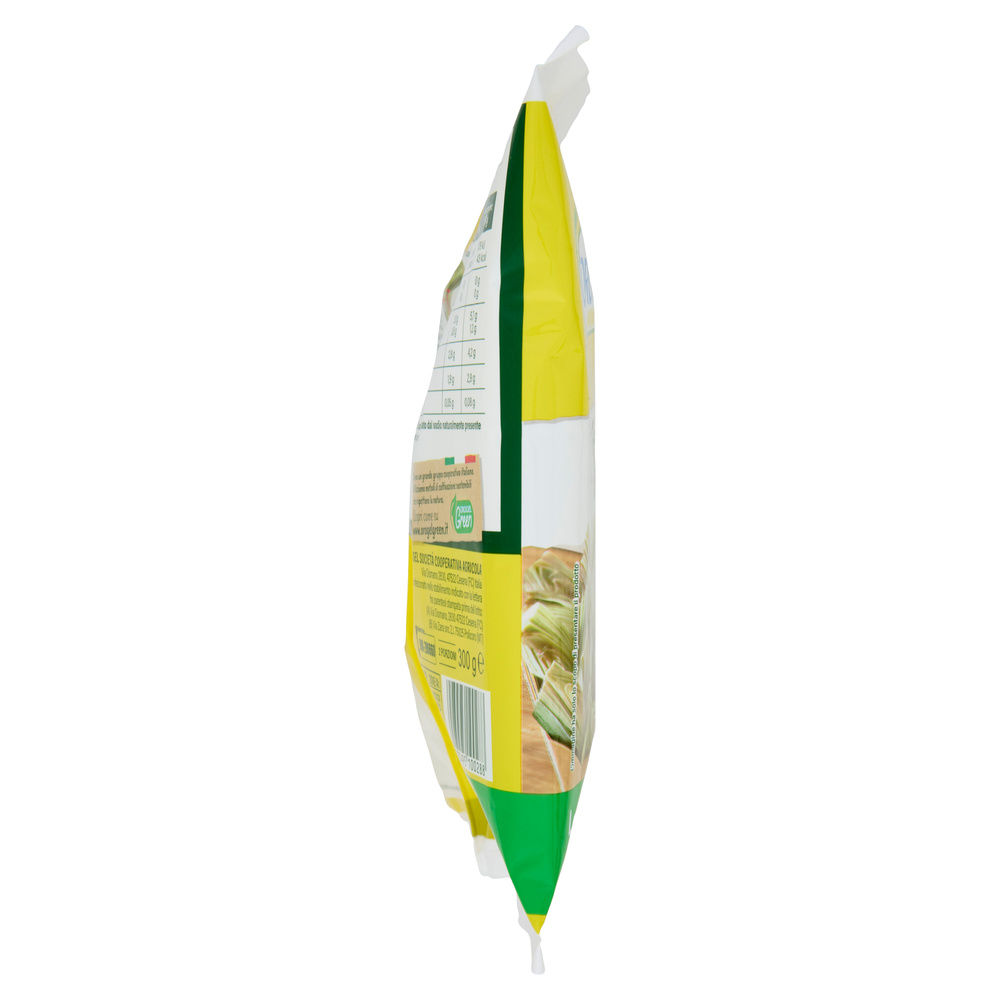 CARCIOFI IN SPICCHI TANTO CUORE OROGEL G 300 - 2