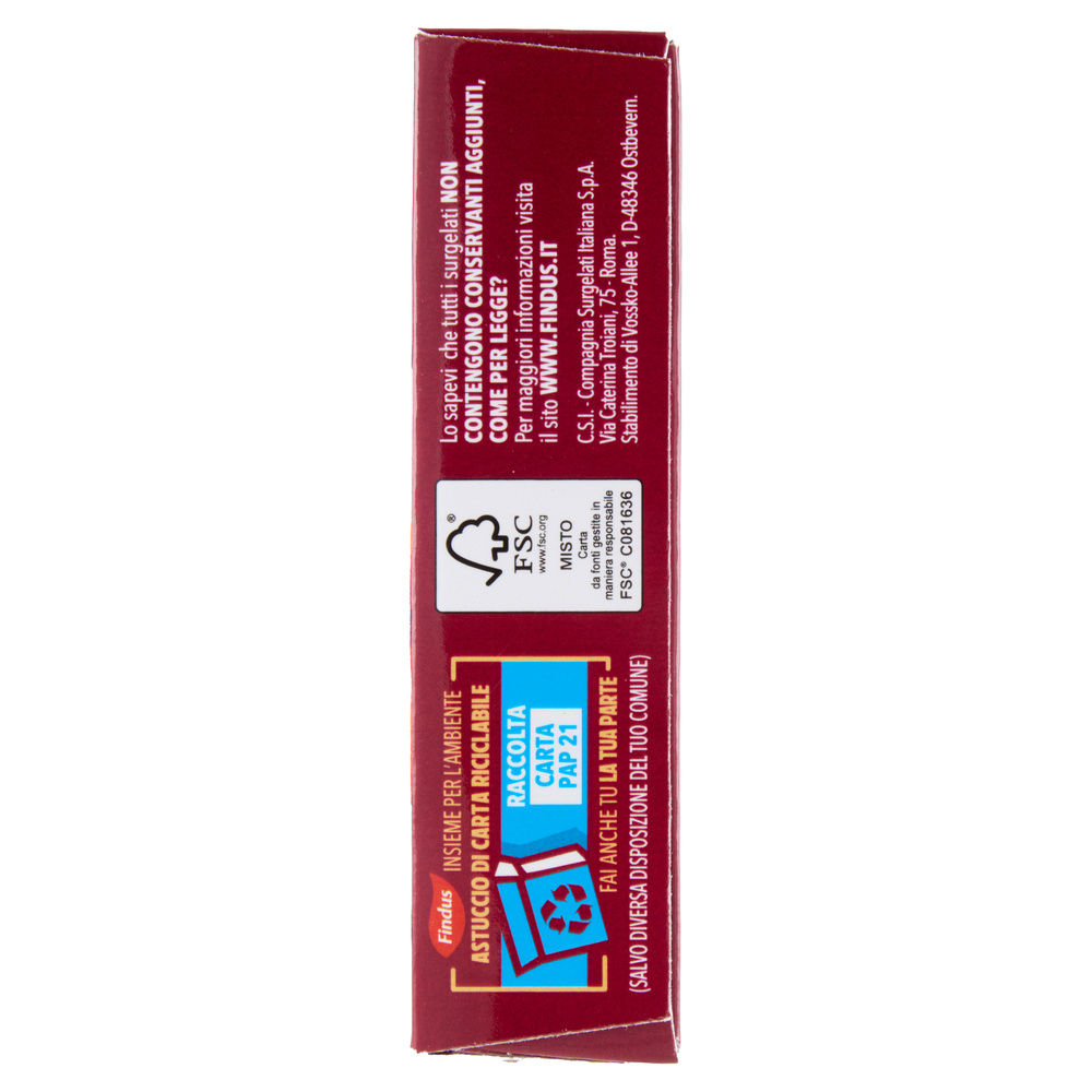 DELIZIE DI POLLO CORDON BLEU FINDUS X2 SCATOLA 220G - 4
