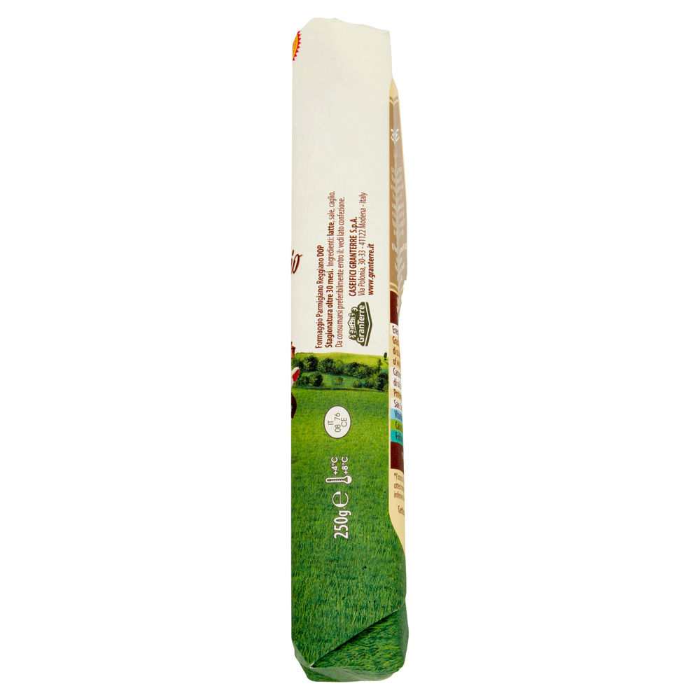 PARMIGIANO REGGIANO DOP 30M PARMAREGGIO SV ANT 250 G - 3