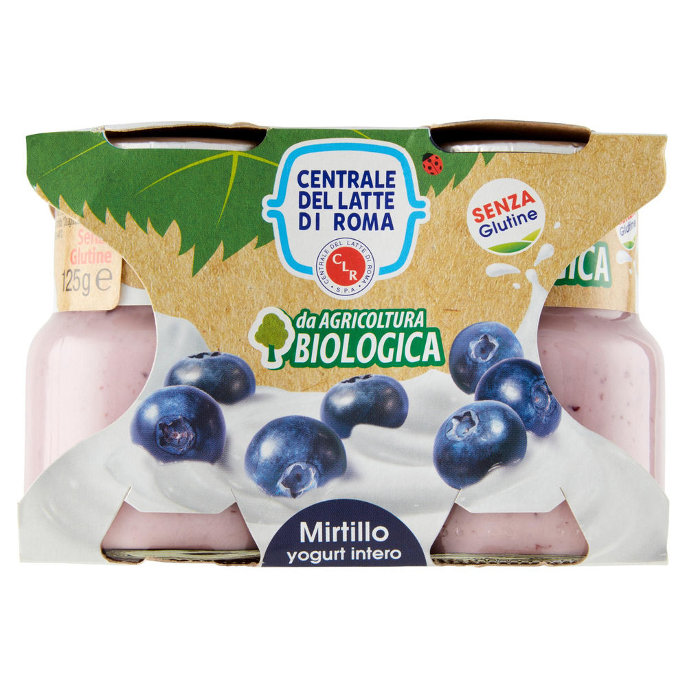 YOGURT BIO INTERO MIRTILLO CENTRALE DEL LATTE DI ROMA 2X125 G - 0