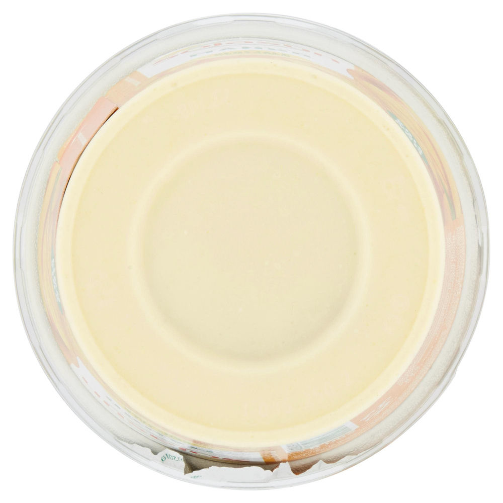 SOJASUN BIFIDUS MANGO VASO G 250 - 6