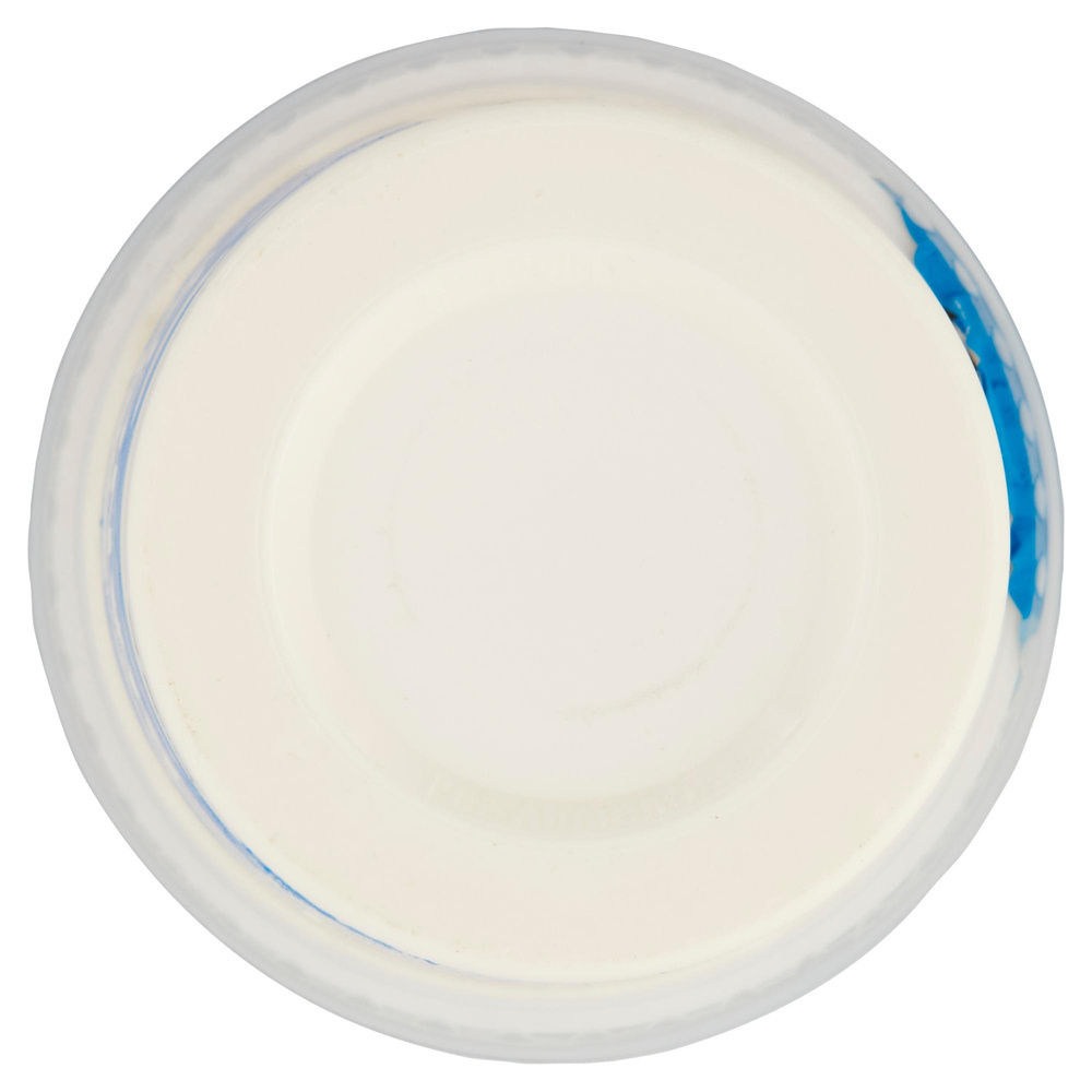 YOGURT INTERO BIANCO COOP VASETTO G 500 - 14
