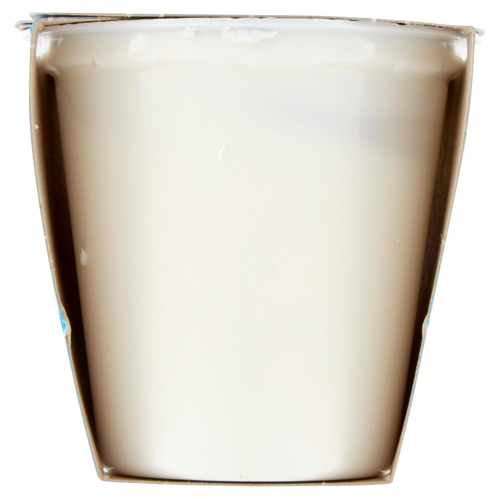 YOGURT INTERO BIANCO COOP G 125X2 - 7