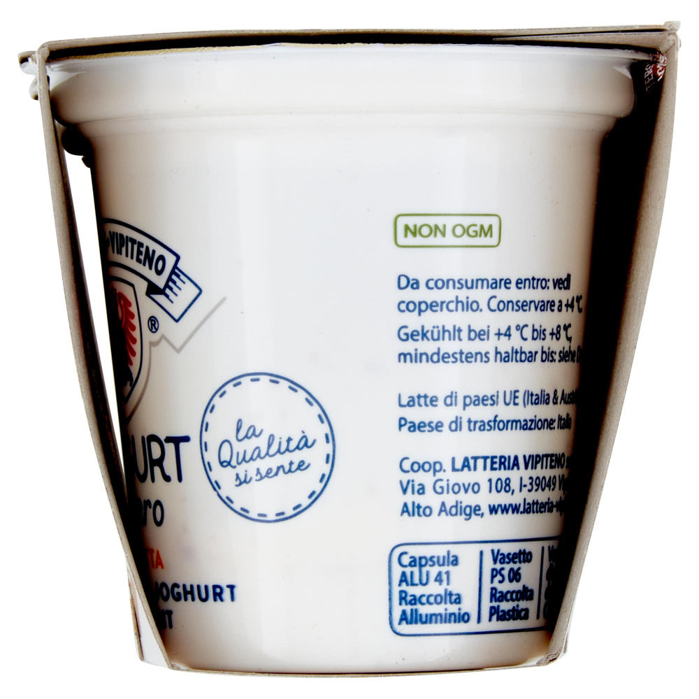 YOGURT CREMOSO VIPITENO CEREALI 2X125 G - 7