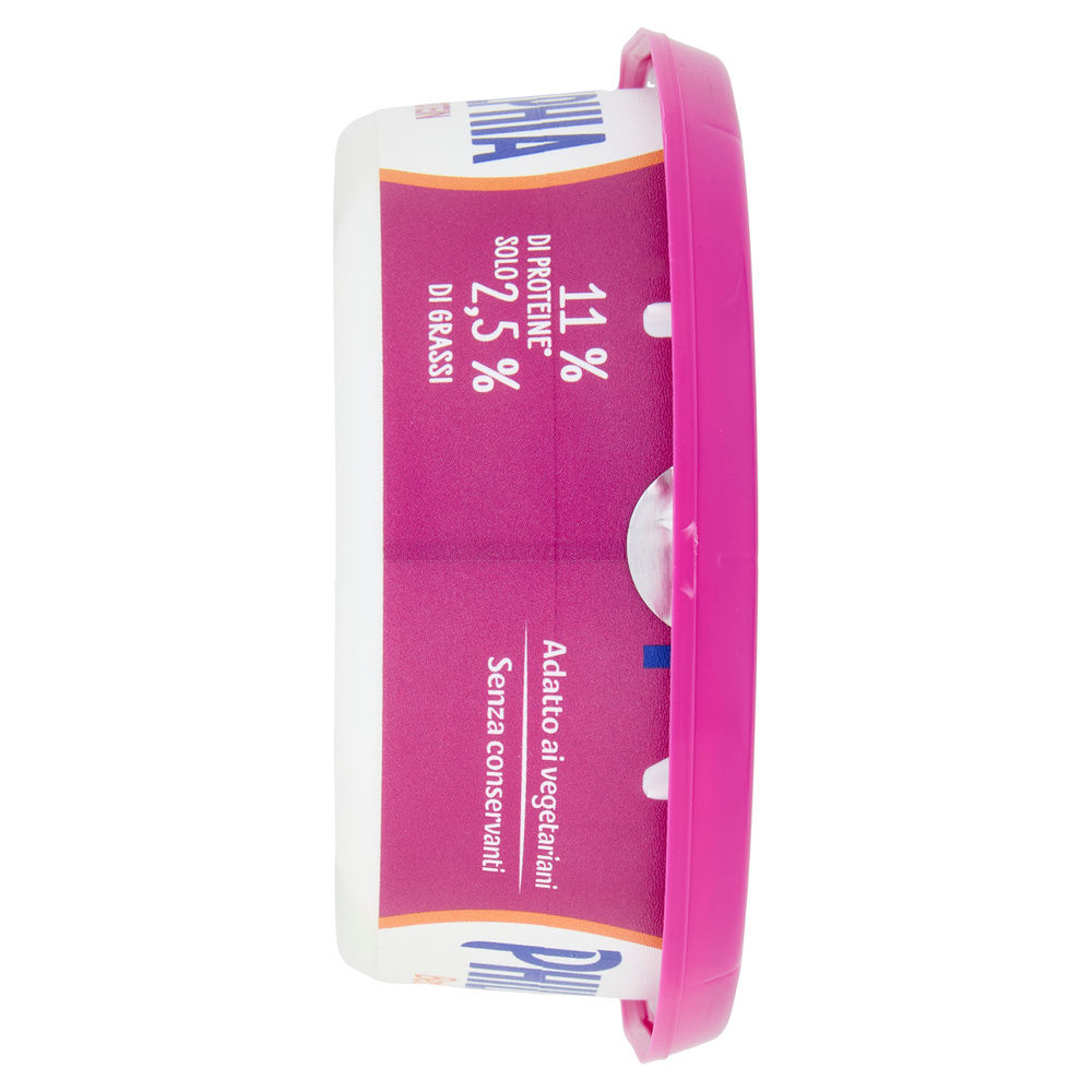PHILADELPHIA PROTEIN  VASCHETTA G 175 - 4