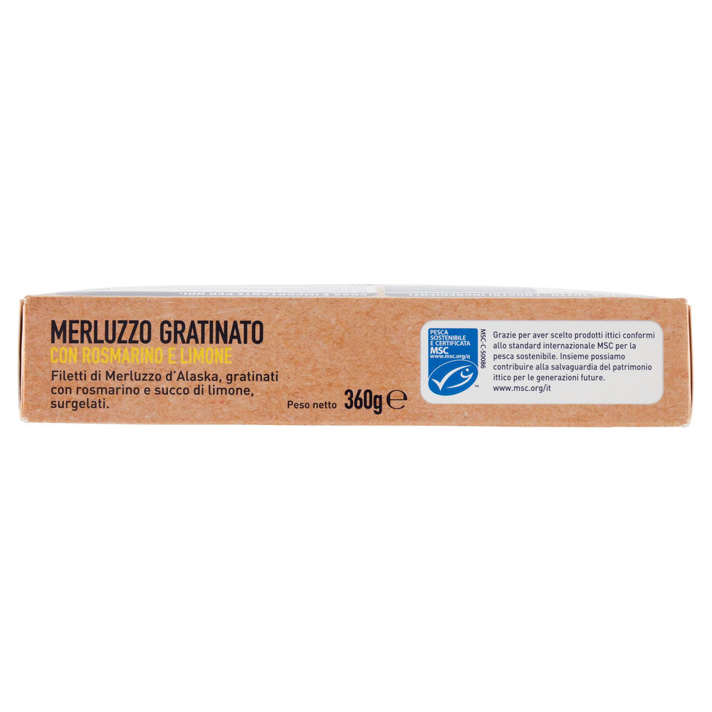 MERLUZZO GRATINATO CON ROSMARINO E LIMONE FROSTA SCATOLA G 360 - 6