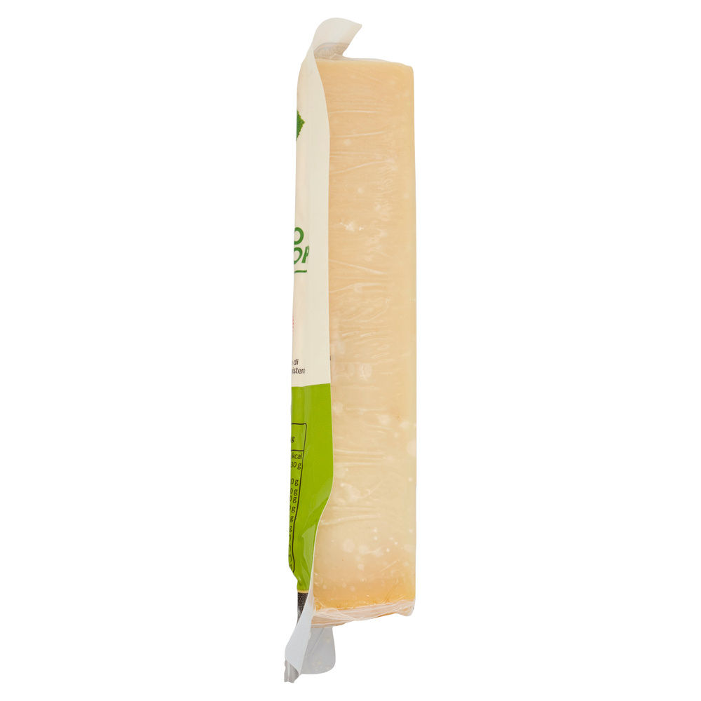 PARMIGIANO REGGIANO DOP STAG.OLTRE 20 MESI BIOLOGICO COOP VIVIVERDE G 300 - 5