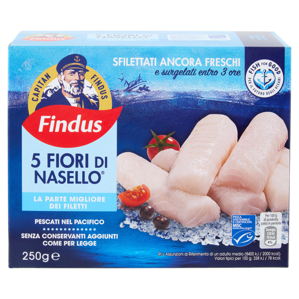 5 FIORI DI NASELLO MSC CAPITAN FINDUS CARTONE G 250 - 3