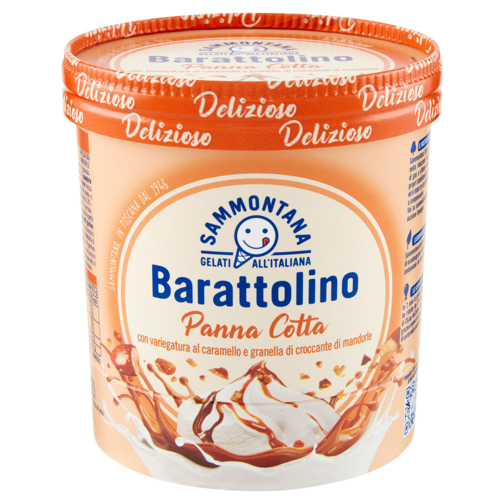 BARATTOLINO LE DELIZIE PANNA COTTA SAMMONTANA BARATTOLO G 500 - 7