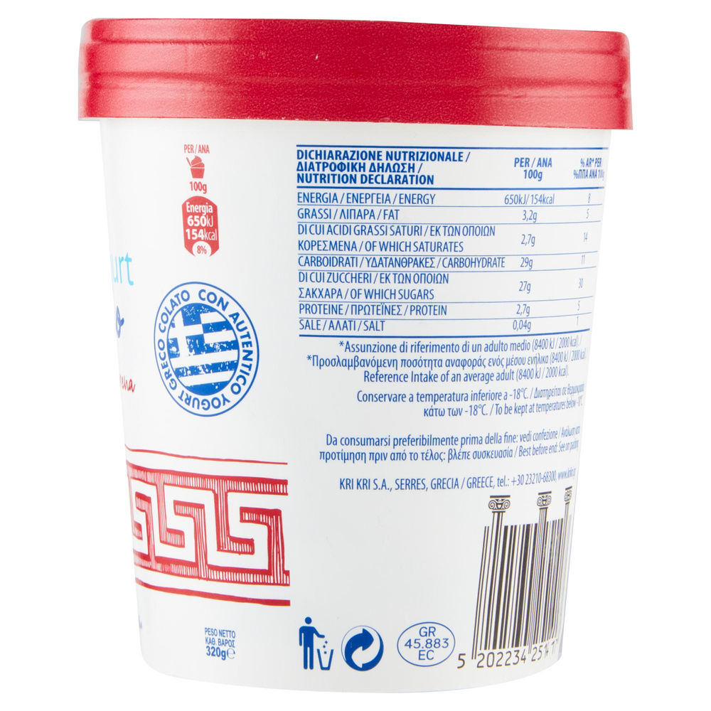 GELATO YOGURT GRECO AMARENA KRI KRI BARATTOLO G 320 - 4
