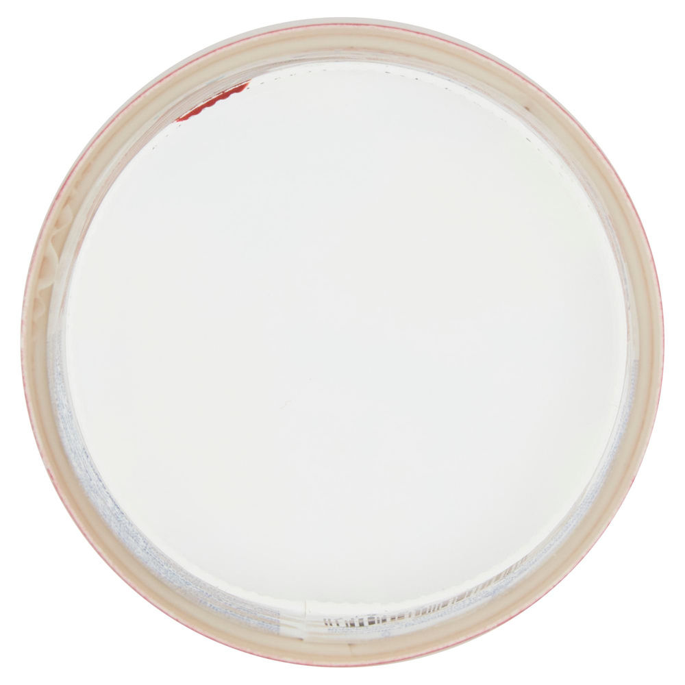 GELATO YOGURT GRECO AMARENA KRI KRI BARATTOLO G 320 - 2