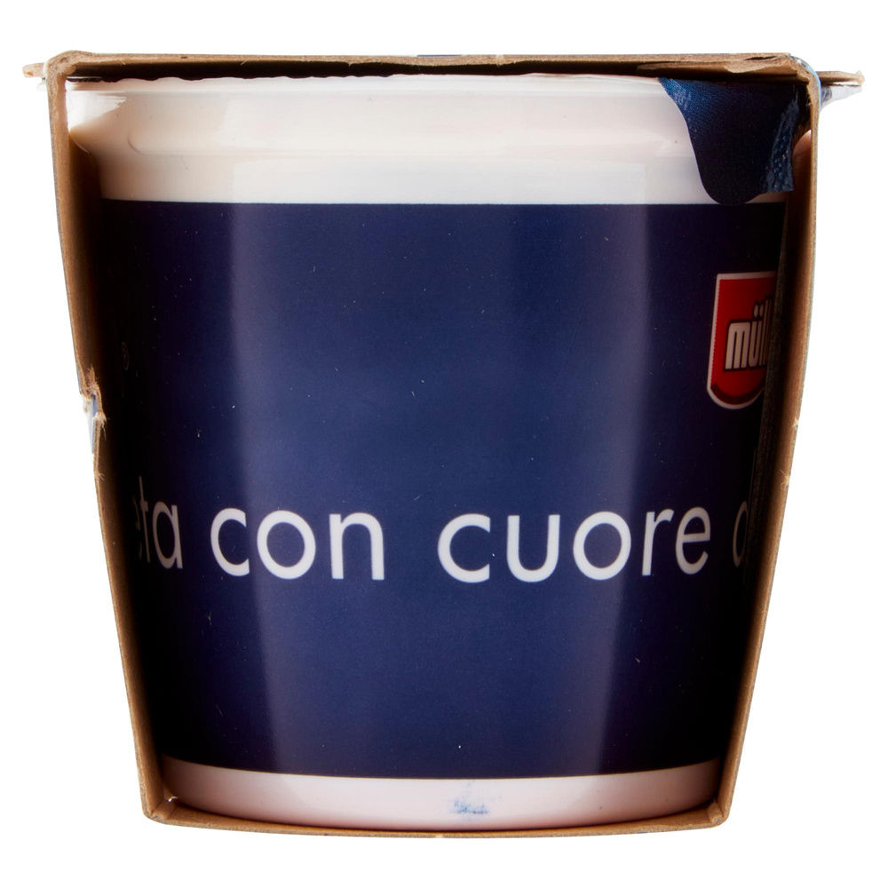 SETA LAMPONE MULLER 2X125G - 7