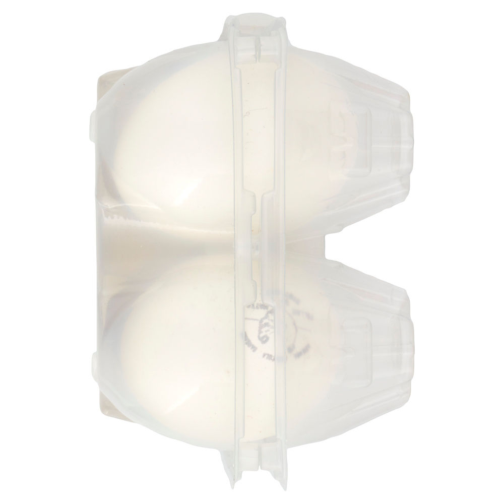 UOVA BIANCHE LIONELLO RAINIERI OMEGA 3 ALLEVATE  ALL APERTO CALIBRO VARIO G 300 X 6 - 7