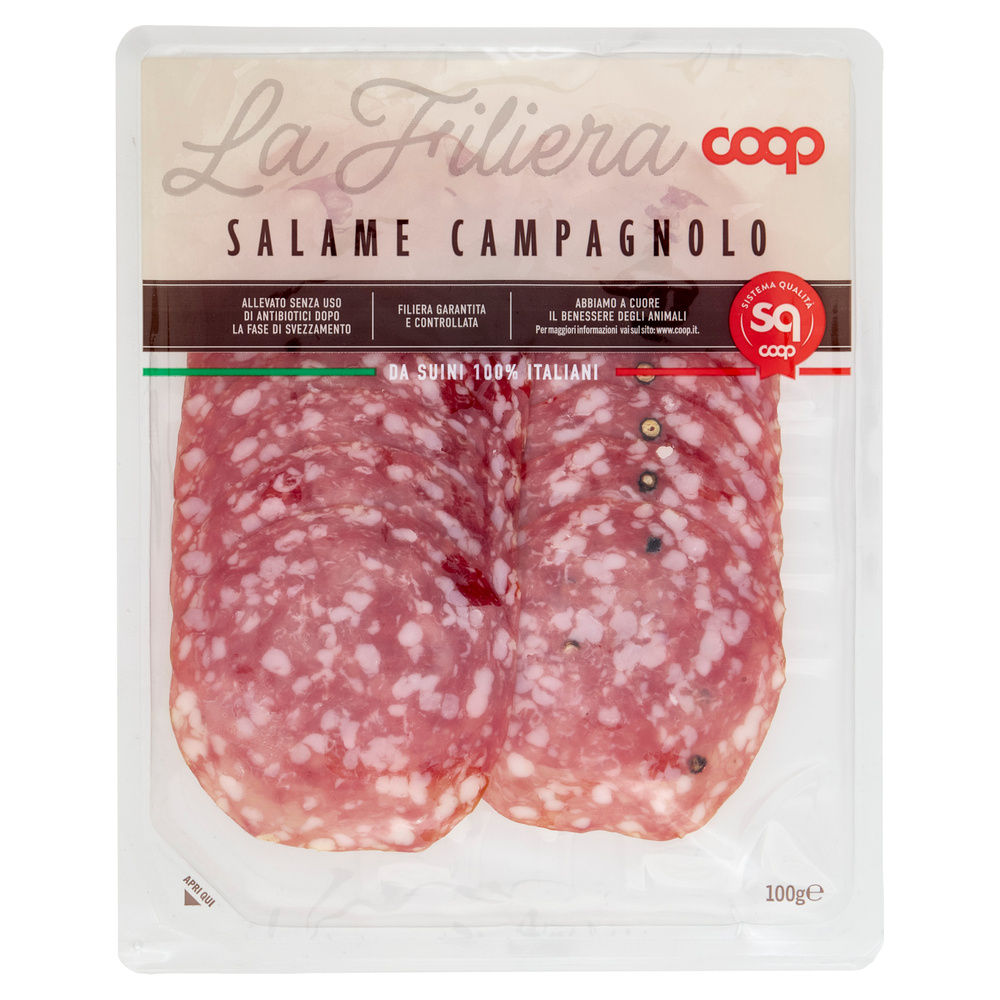 SALAME CAMPAGNOLO DA SUINI ALL. S/ANTIB. DOPO SVEZZ COOP AFF. VH G 100 - 4