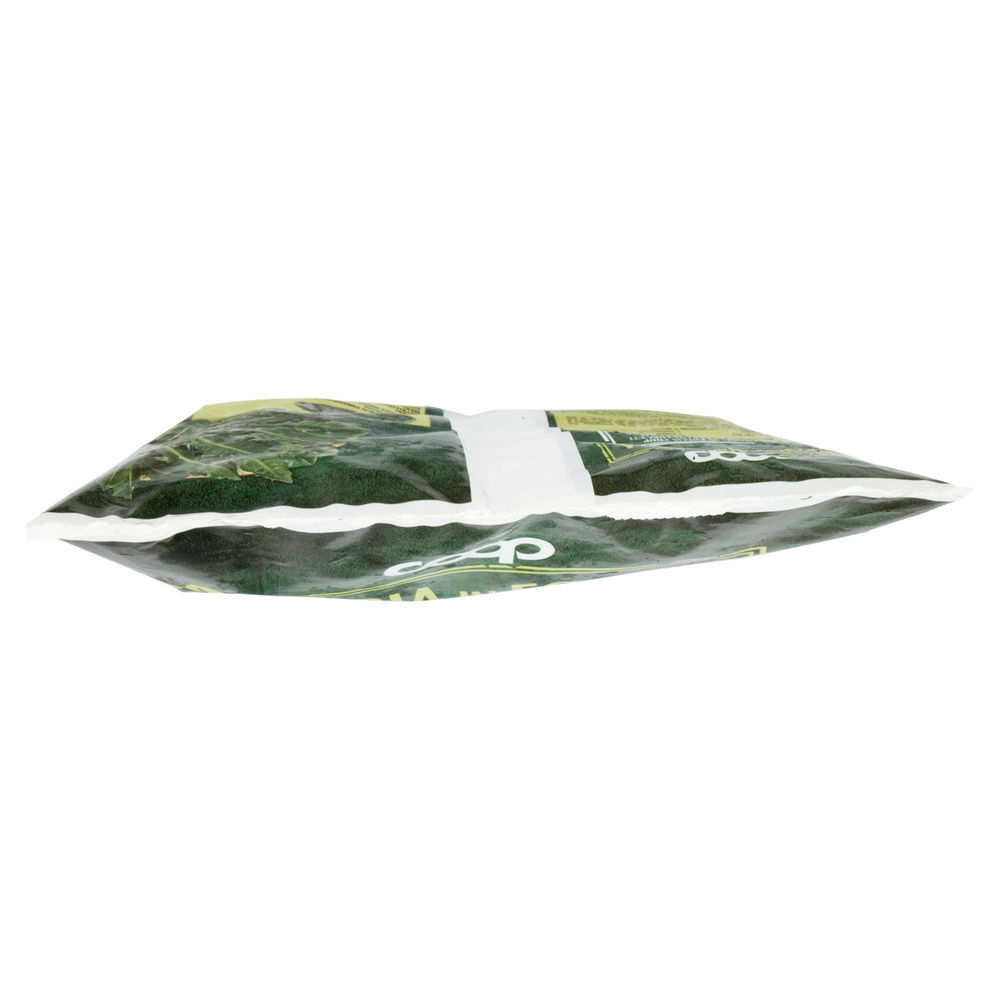CICORIA A CUBETTI FOGLIA INTERA COOP BUSTA G 600 - 2