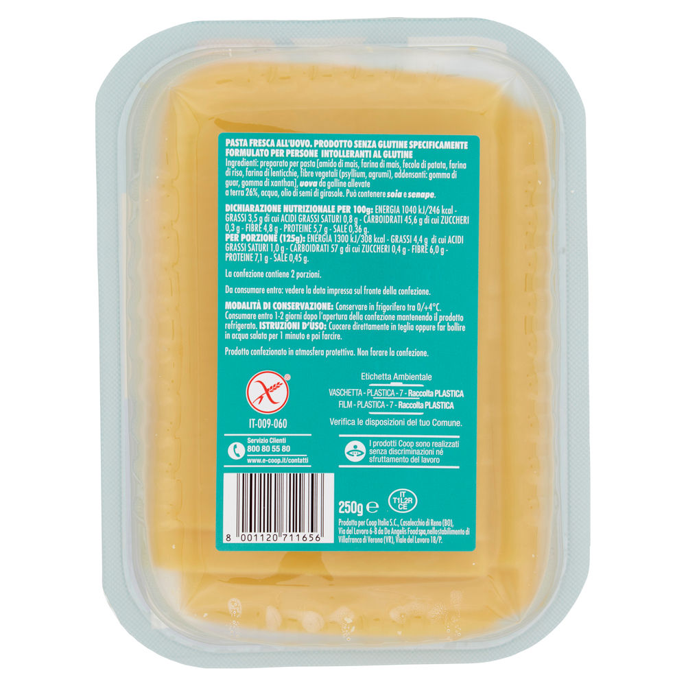 PASTA PER LASAGNE SENZA GLUTINE BENE SÌ COOP G 250 - 1