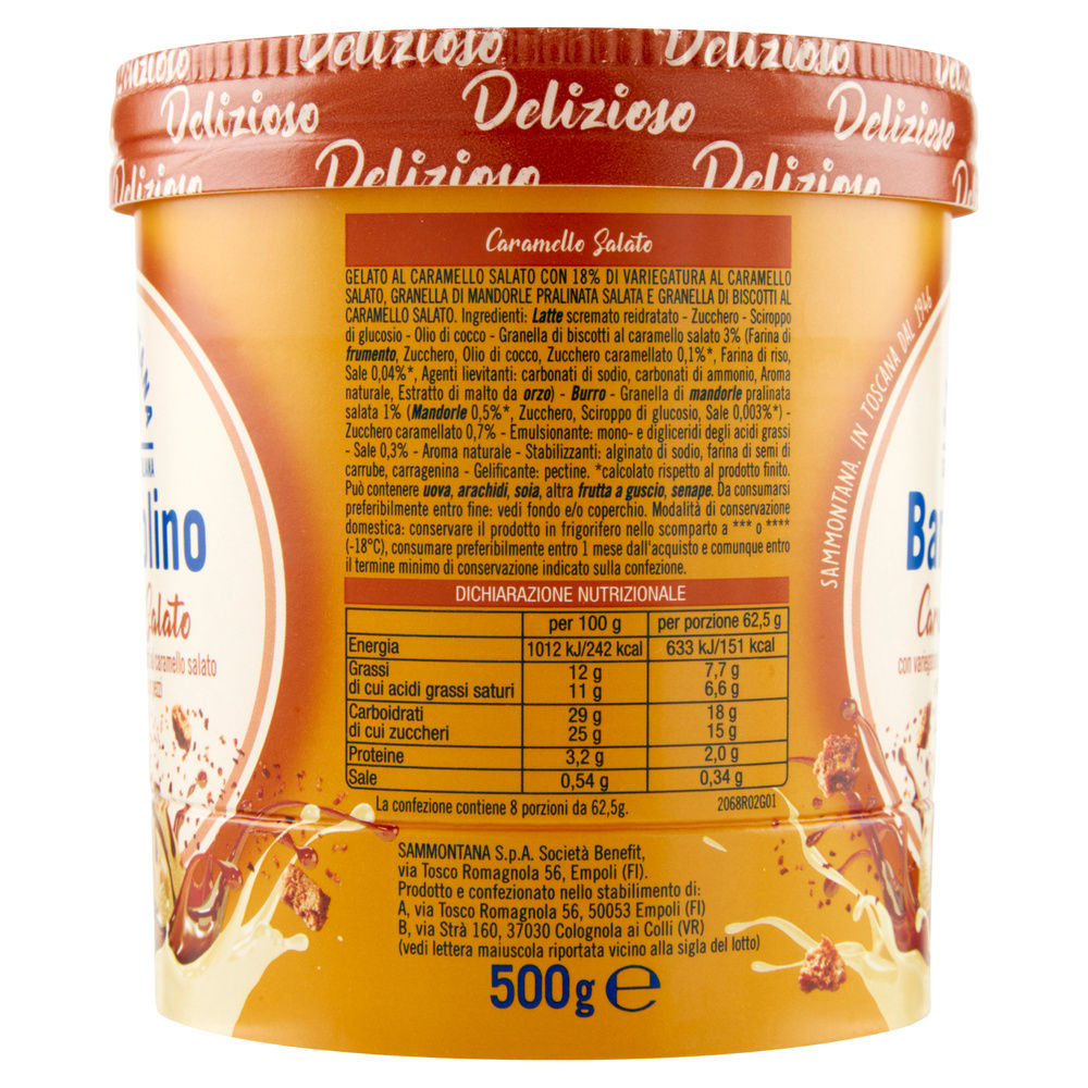 BARATTOLINO LE DELIZIE CARAMELLO SALATO SAMMONTANA G 500 - 4