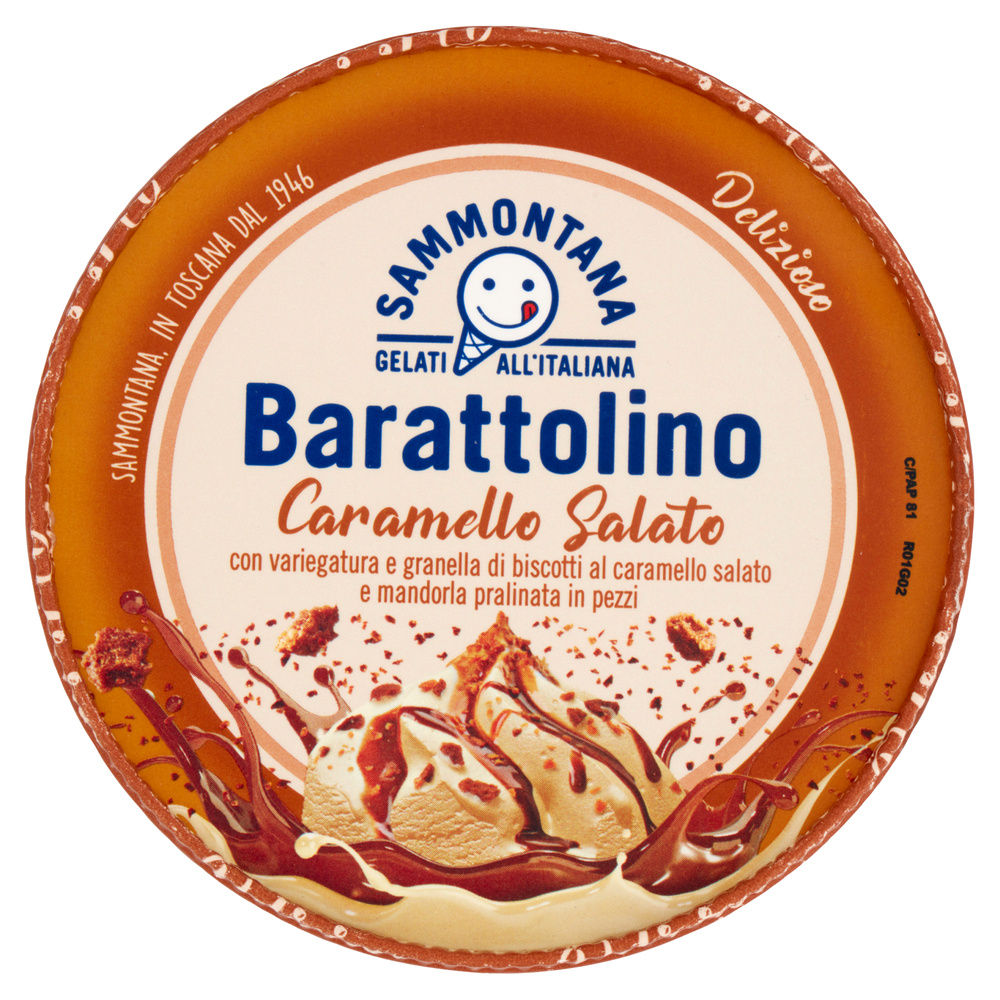 BARATTOLINO LE DELIZIE CARAMELLO SALATO SAMMONTANA G 500 - 6