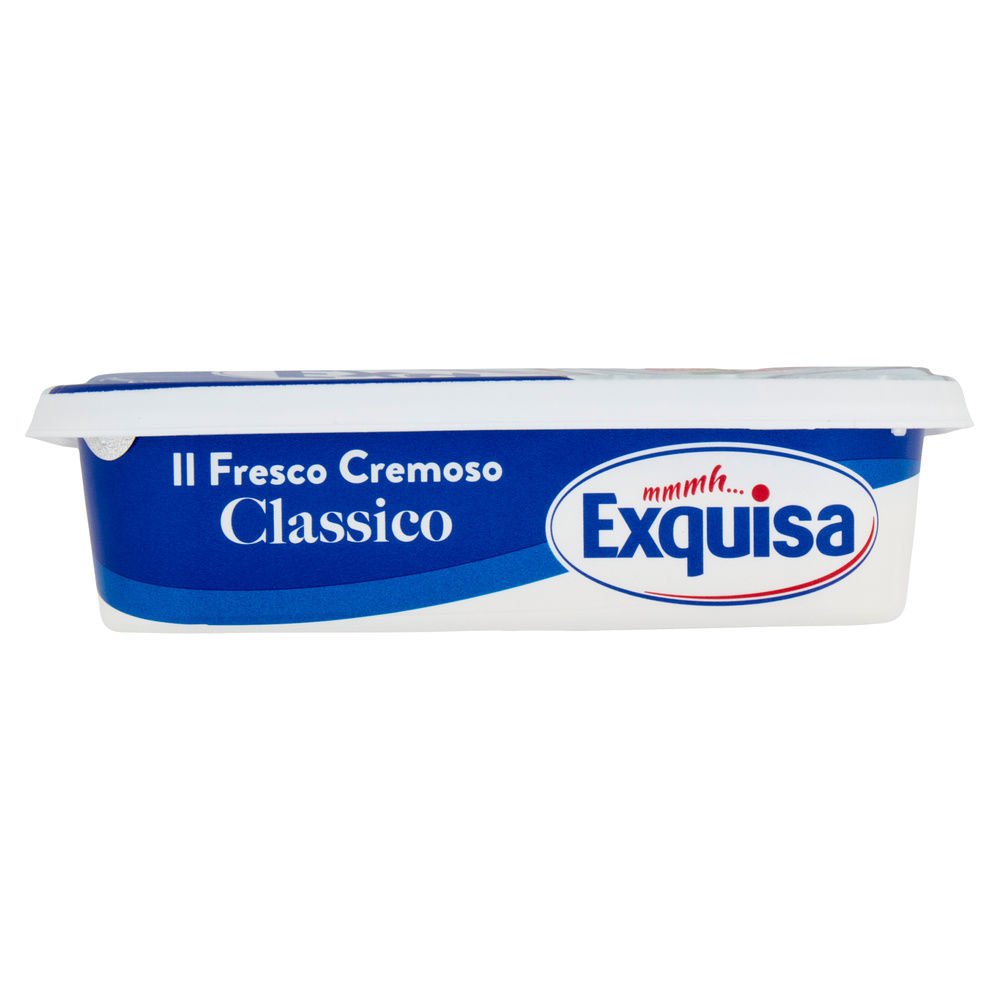 FORMAGGIO FRESCO CLASSICO EXQUISA VASCHETTA 175 G - 5