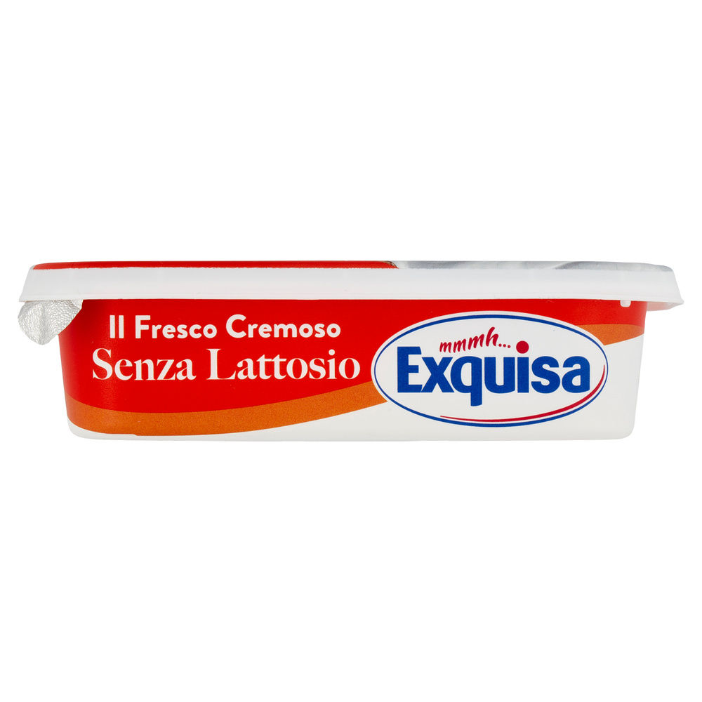 FORMAGGIO FRESCO SENZA LATTOSIO EXQUISA VASCHETTA G 175 - 6