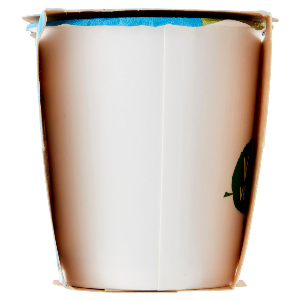 YOGURT MAGRO 0,1% BIO VIVI VERDE COOP MIRTILLO NERO 2X125G - 5