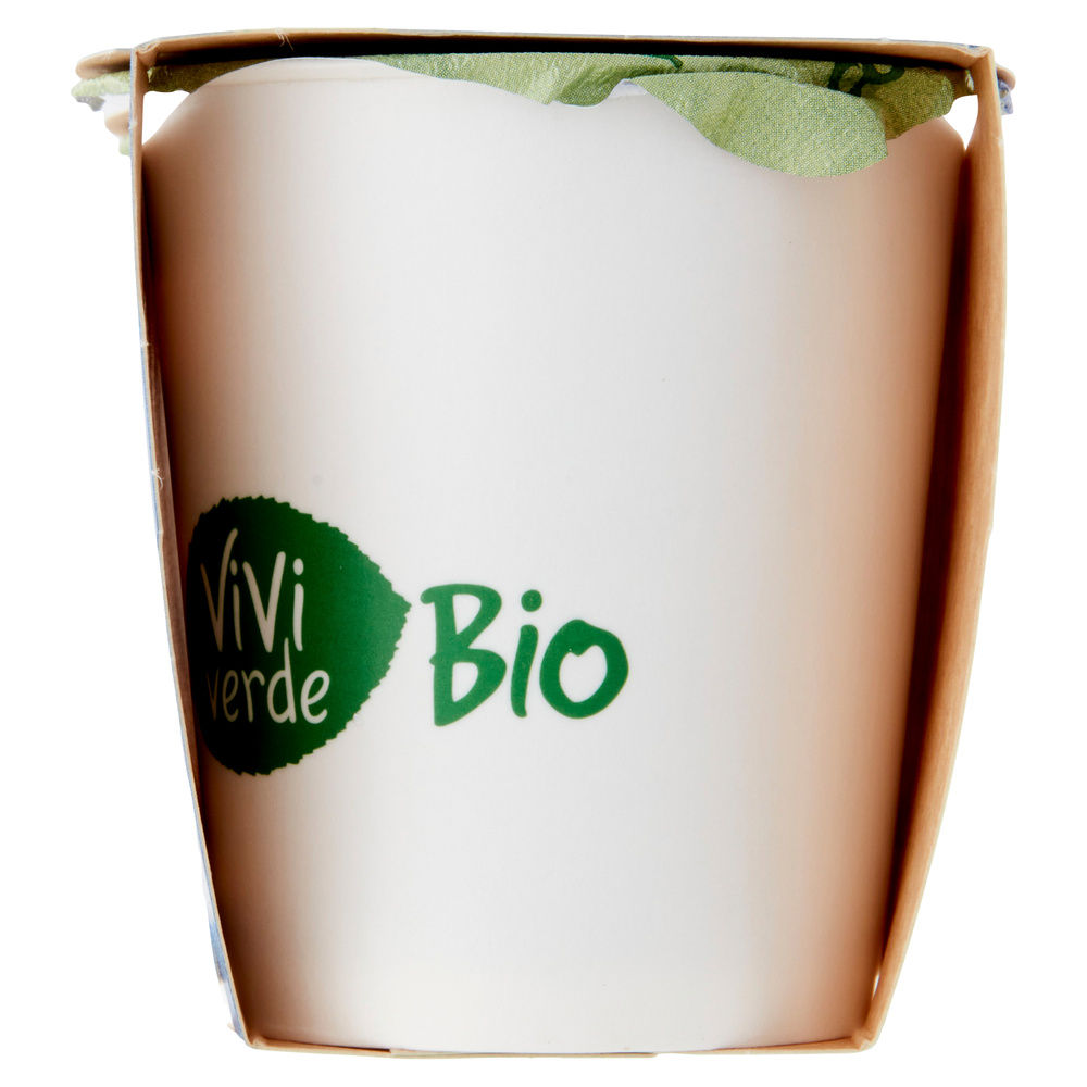 YOGURT INTERO BIO VIVI VERDE COOP MIRTILLO 2X125G - 5