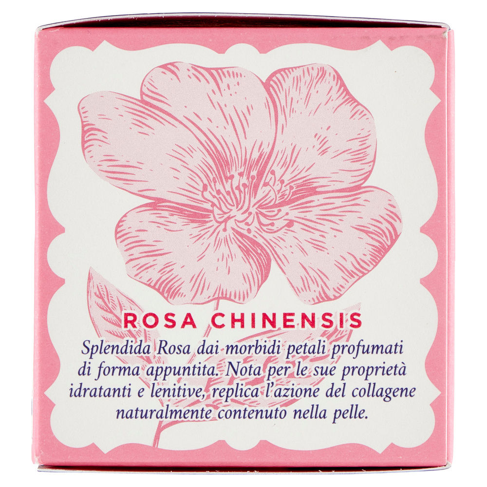 CREMA ANTIRUGHE LENITIVA ACQUA ALLE ROSE ML 50 - 3