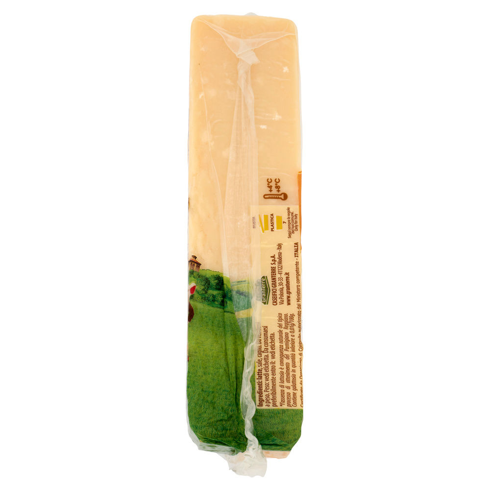 PARMIGIANO REGGIANO DOP SCROST T/ROCCIA STAG.22 M PARMAREGGIO SV ANT RF 450 G CA - 7