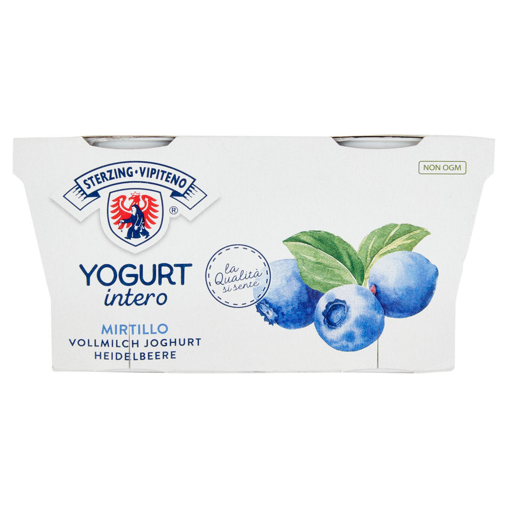 YOGURT CREMOSO VIPITENO MIRTILLI 2X125 G - 2