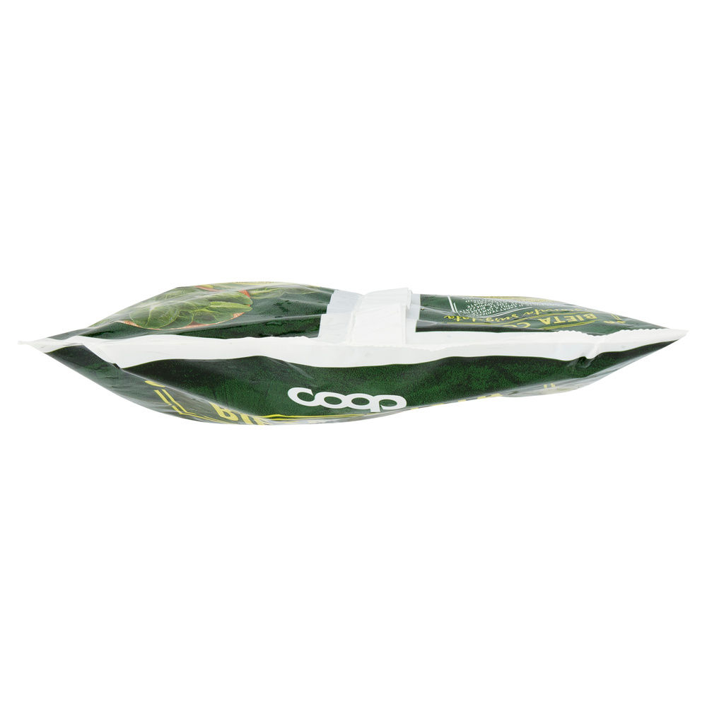 BIETA COSTA CUBETTI COOP SURG.  G 600 - 5