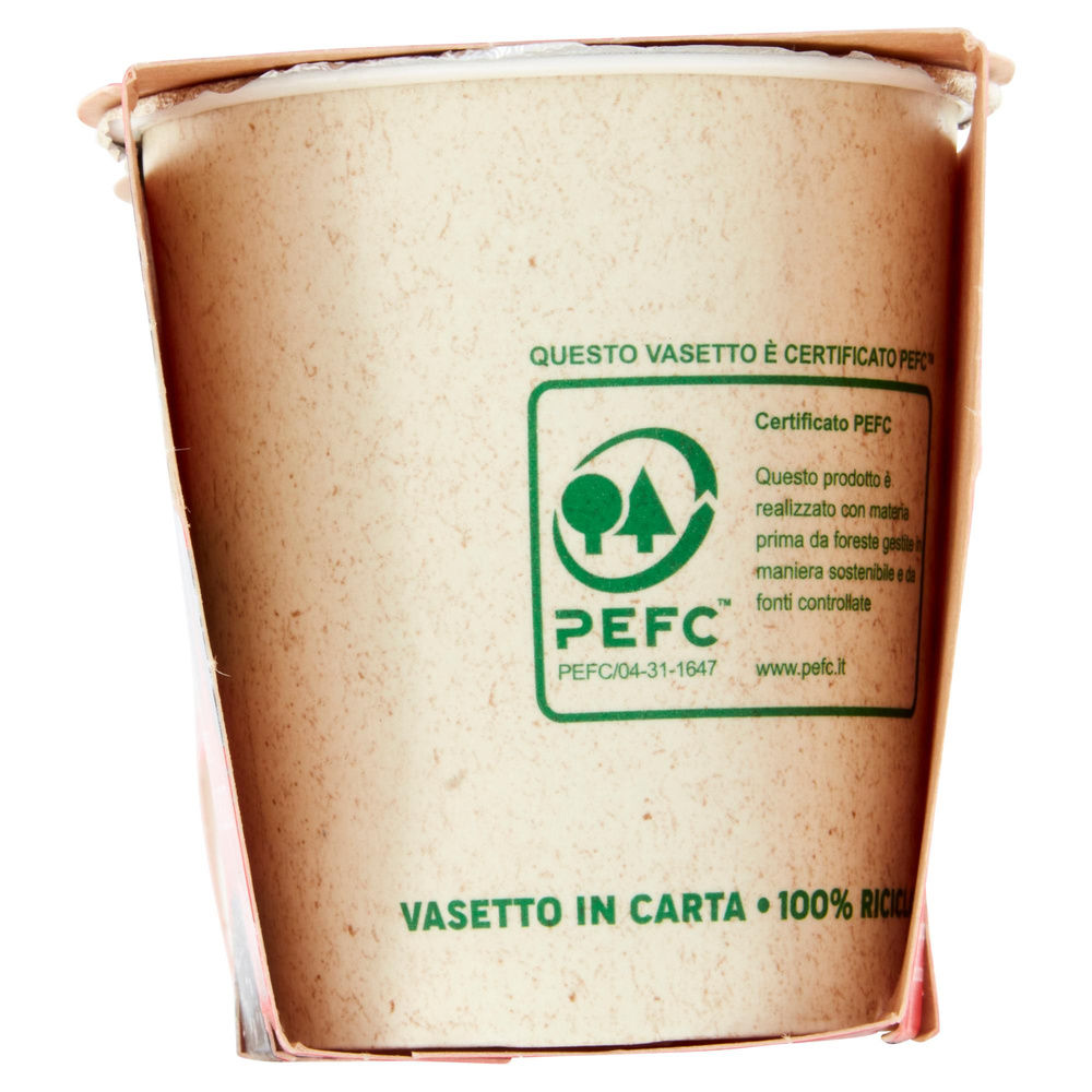 YOGURT YOMO 100% NATURALE FRUTTI DI BOSCO 2X125 G - 2