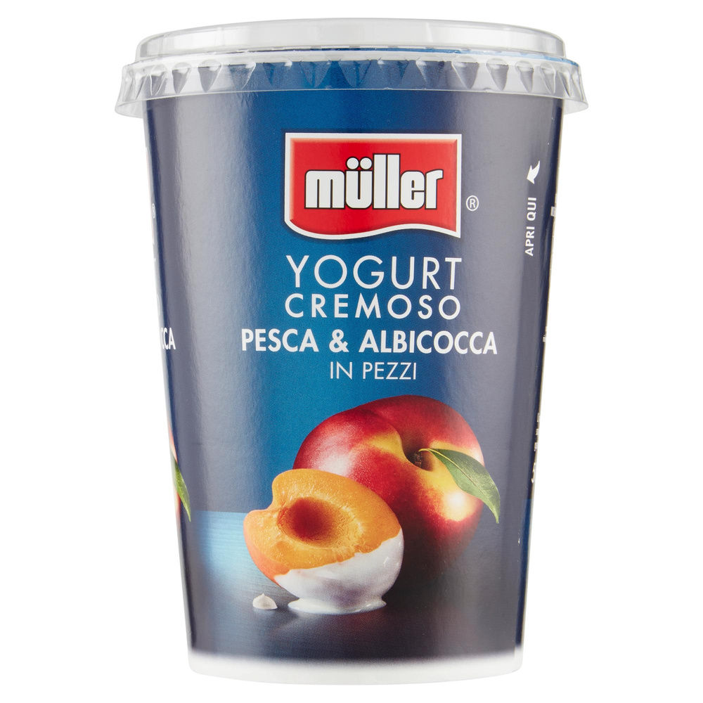 CREMA DI YOGURT MULLER ALBICOCCA/PESCA IN PZ BARATTOLO G 500 - 5