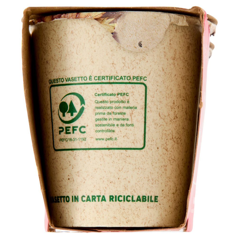 YOGURT YOMO 100% NATURALE MALTO 2X125 G - 2