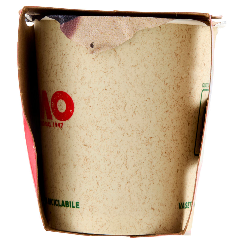 YOGURT YOMO 100% NATURALE MIRTILLI NERI 2X125 G - 7