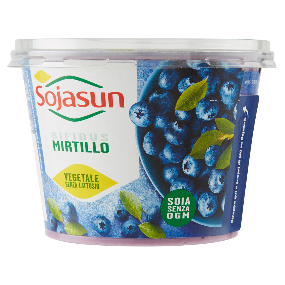 SOJASUN BIFIDUS MIRTILLO VASO 250 G - 0