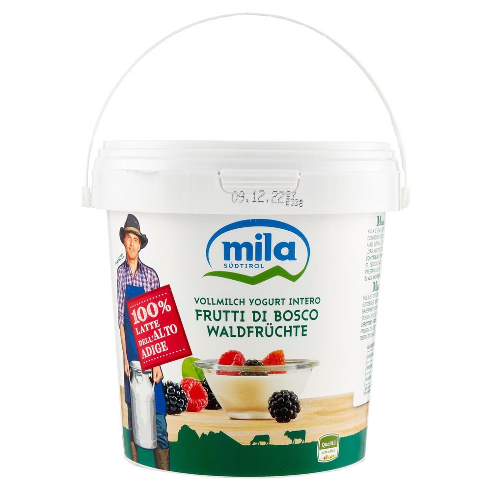 YOGURT MILA QUALITA' CLASSICA FRUTTI DI BOSCO 1 KG - 1