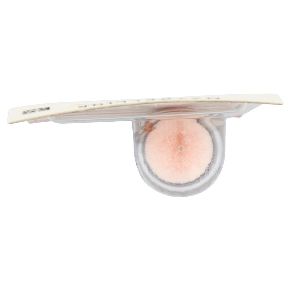CORRETTORE OCCHI IL CANCELLA ETA' NUDE MAYBELLINE BLISTER 1PZ - 5