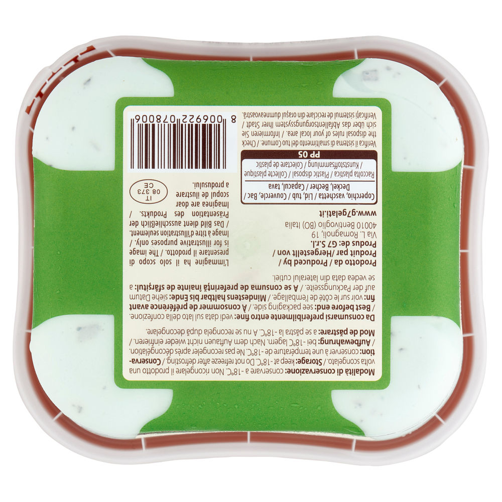 GELATO MINT & CHOKO SIVIERO MARIA  VASCHETTA 500G - 1