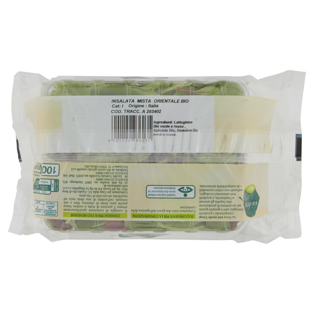 INSALATA MISTA ORIENTALE VIVI VERDE BIO COOP IT  I^ VH G 100 - 1