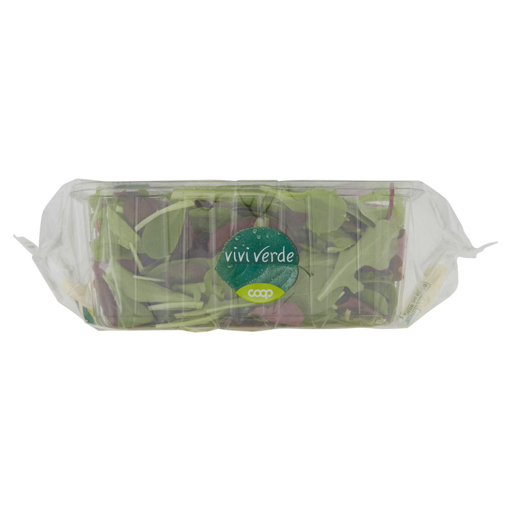 INSALATA MISTA ORIENTALE VIVI VERDE BIO COOP IT  I^ VH G 100 - 8