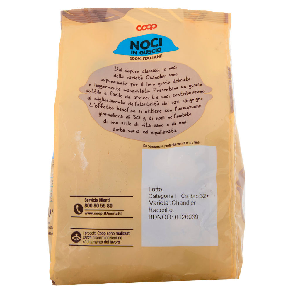 NOCI CHANDLER 100% ITALIANE COOP IT 32+ BS G 400 - 10