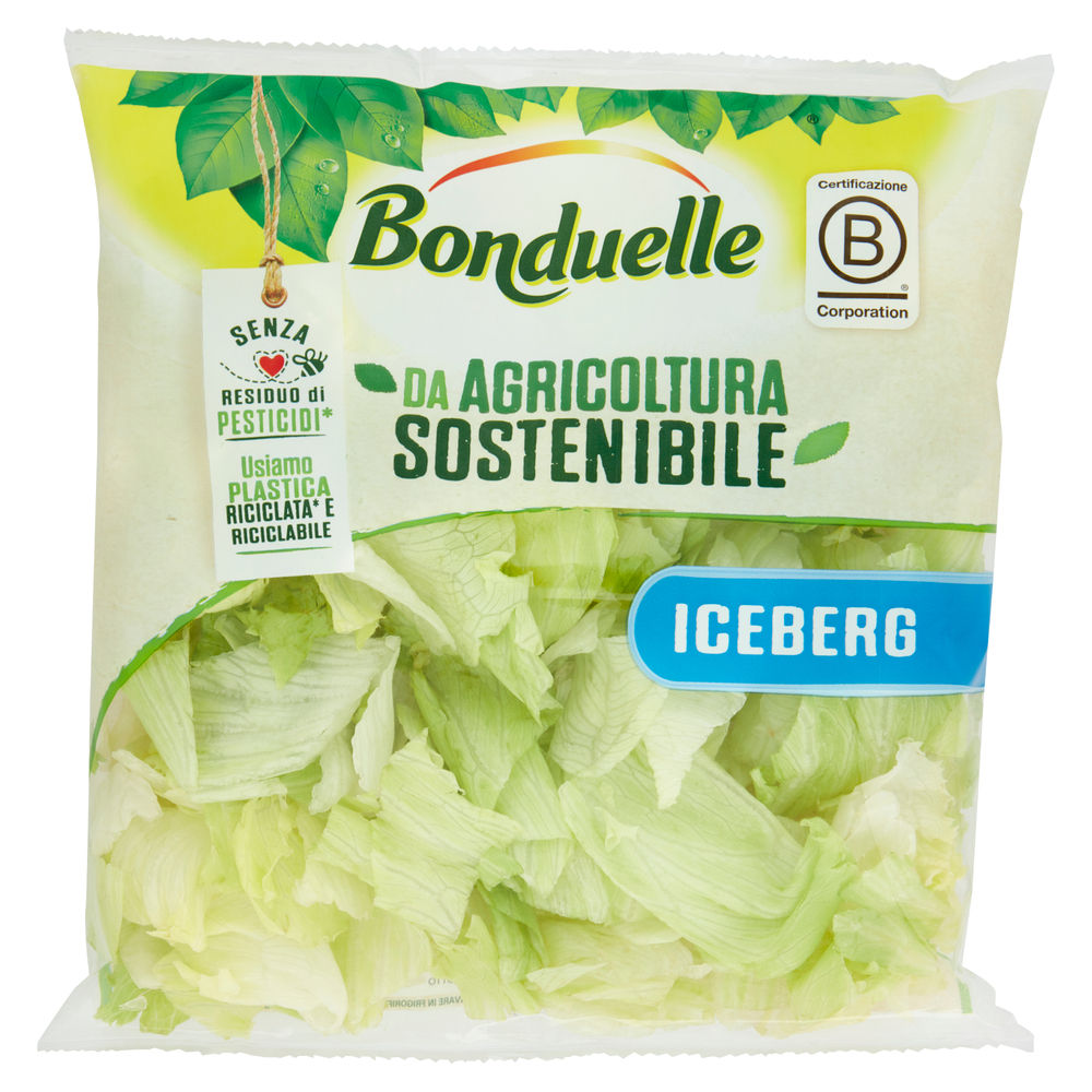 INSALATA ICEBERG BONDUELLE IT I^ BS G 200 - 0