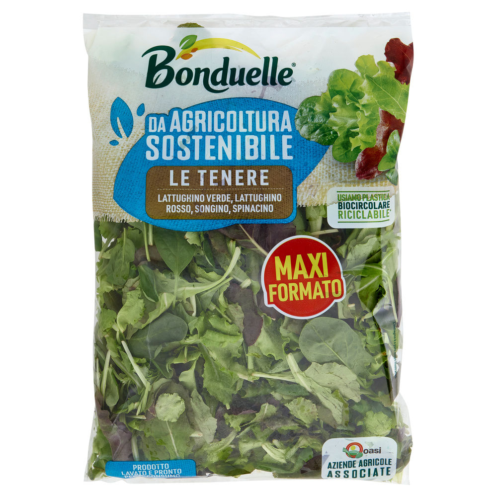 INSALATA TENERA BONDUELLE IT BS G 200 - 7