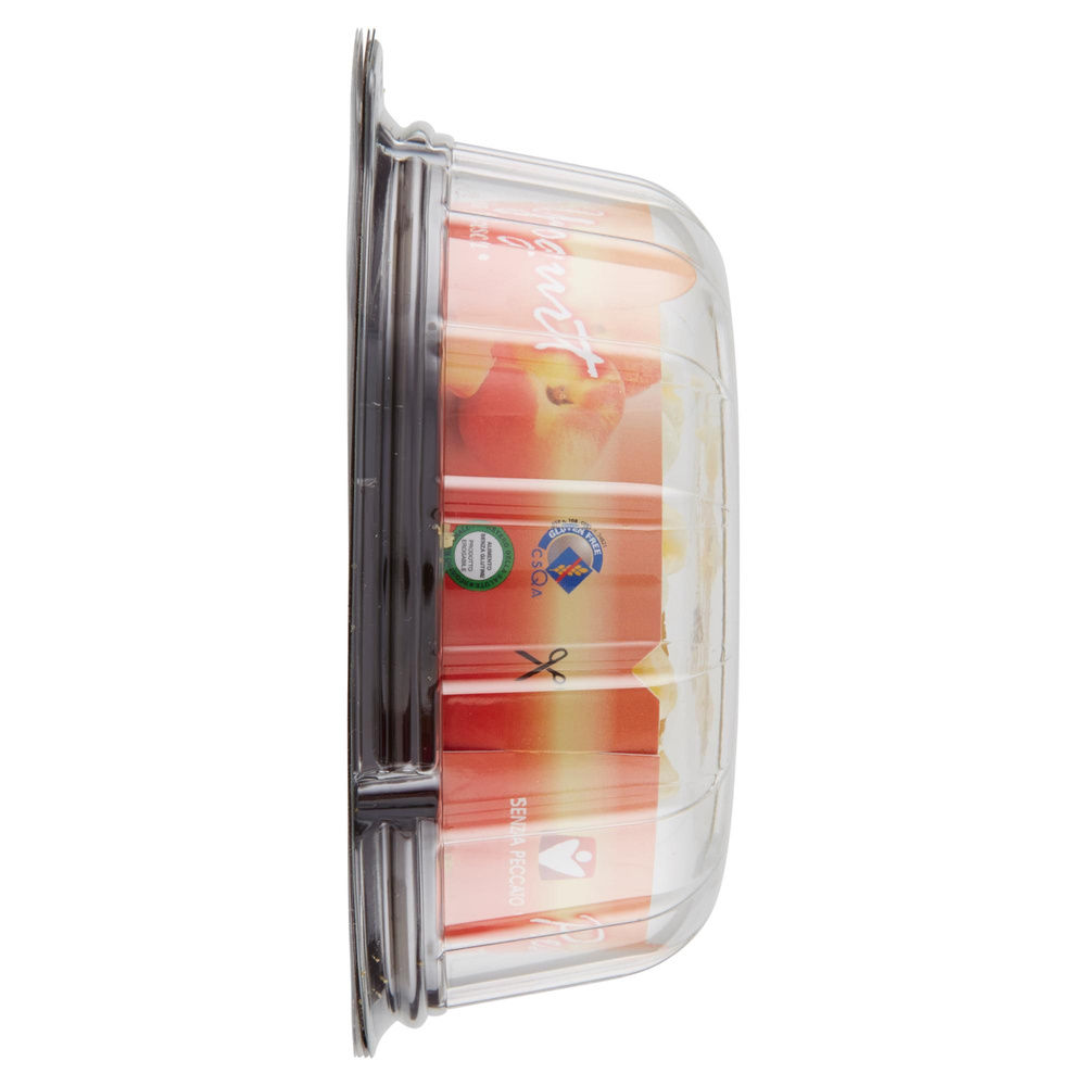 TORTA CON PESCHE E YOGURT SENZA GLUTINE SENZA PECCATO ESTIVA GR 400 - 4