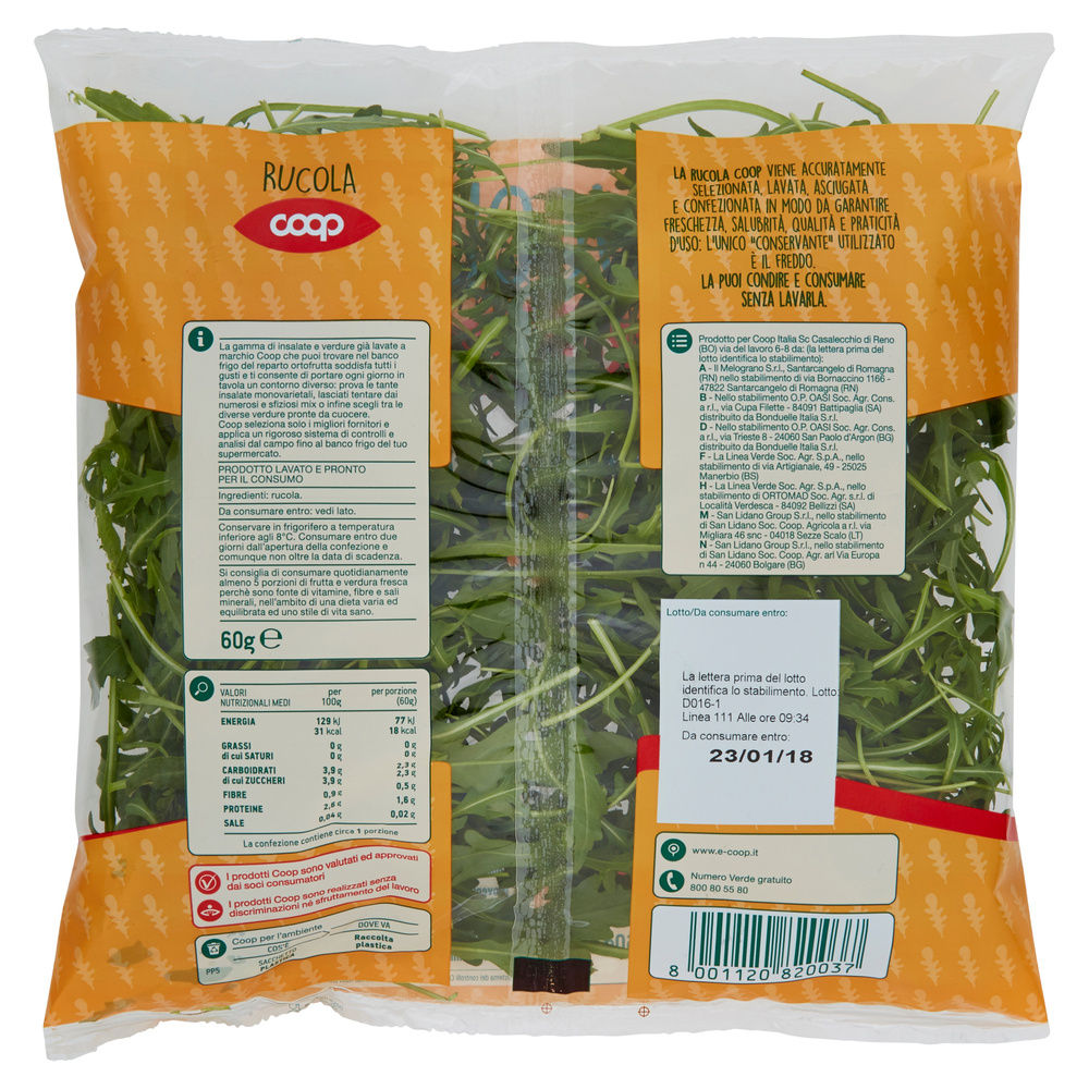 RUCOLA COOP IT BS G 60 - 36